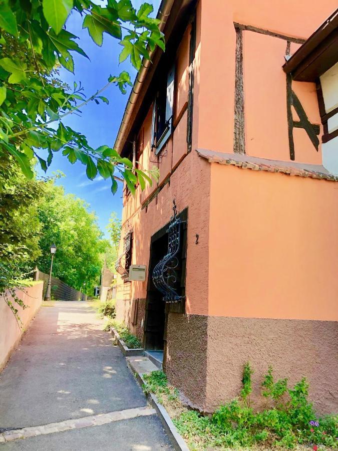 Gite "Rempart Sud" A Ribeauville Eksteriør bilde